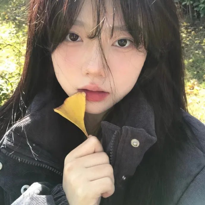 哈巴狗的回忆