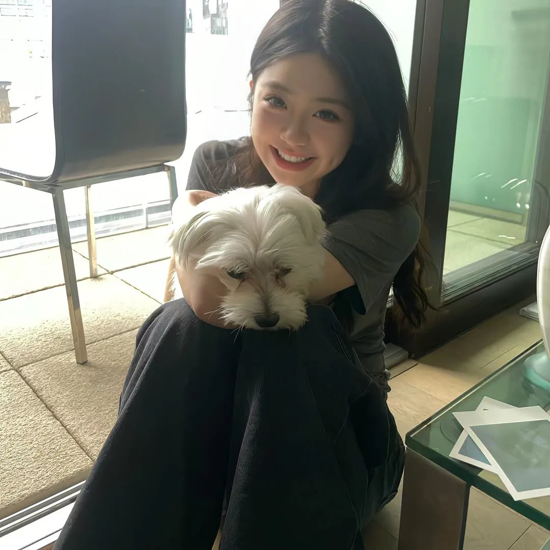 13朵玫瑰